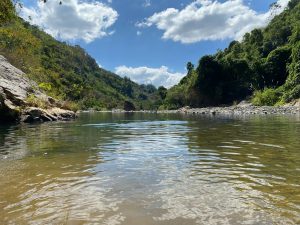 a body of water surrounded by trees and rocks